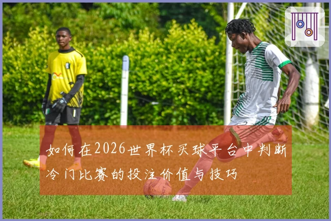 如何在2026世界杯买球平台中判断冷门比赛的投注价值与技巧