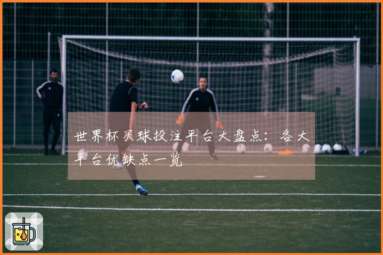 世界杯买球投注平台大盘点：各大平台优缺点一览