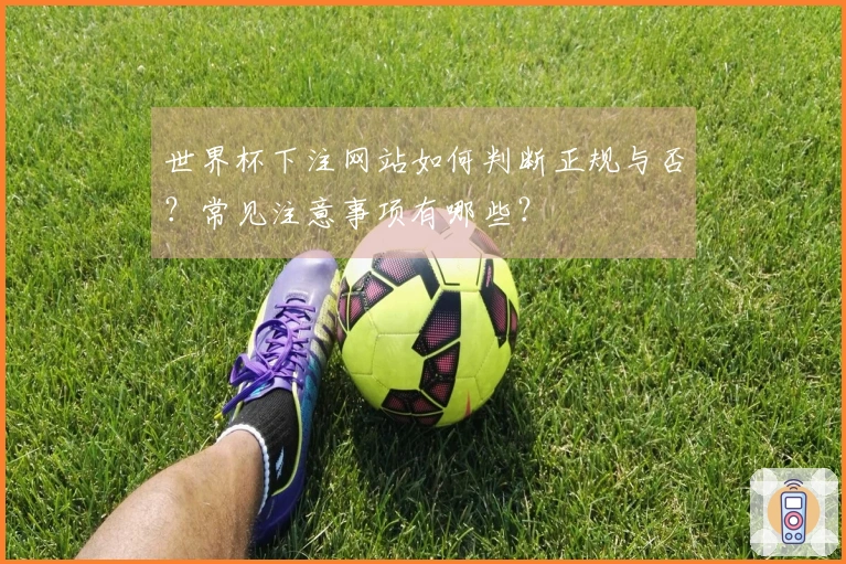 世界杯下注网站如何判断正规与否？常见注意事项有哪些？