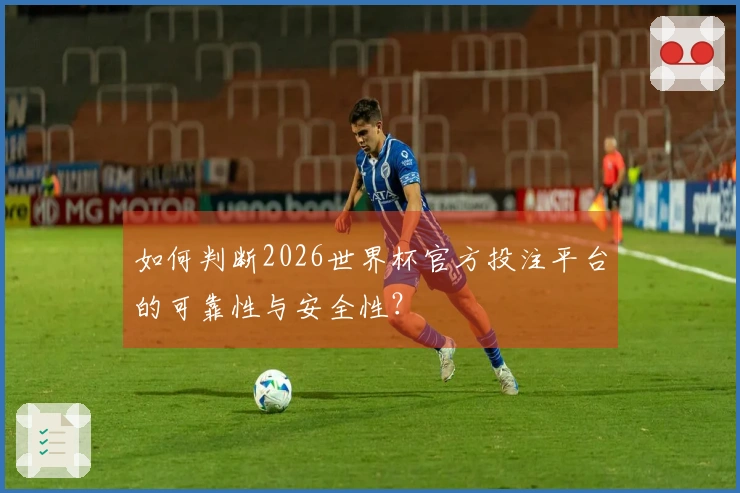 如何判断2026世界杯官方投注平台的可靠性与安全性？