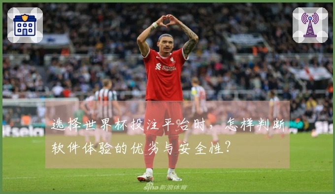 选择世界杯投注平台时，怎样判断软件体验的优劣与安全性？