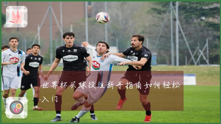 世界杯买球投注新手指南如何轻松入门