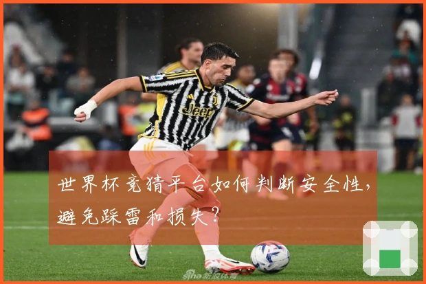 世界杯竞猜平台如何判断安全性，避免踩雷和损失？