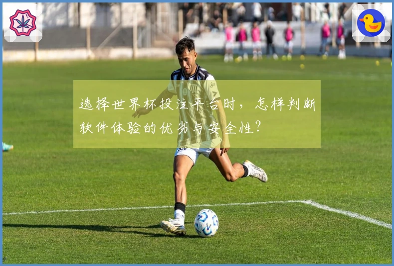 选择世界杯投注平台时，怎样判断软件体验的优劣与安全性？