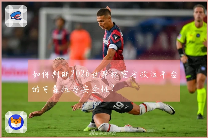 如何判断2026世界杯官方投注平台的可靠性与安全性？