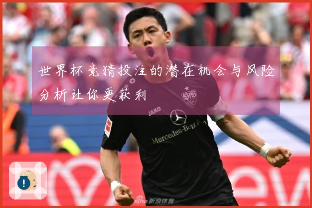 世界杯竞猜投注的潜在机会与风险分析让你更获利