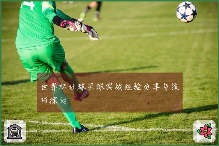 世界杯让球买球实战经验分享与技巧探讨
