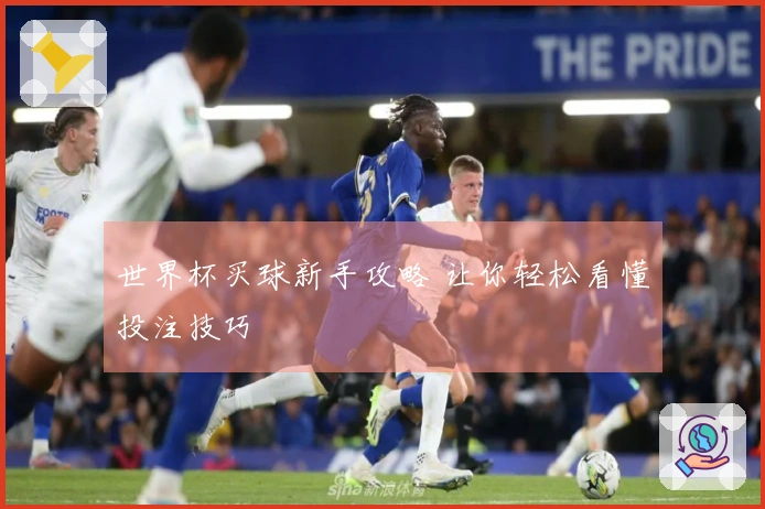 世界杯买球新手攻略 让你轻松看懂投注技巧