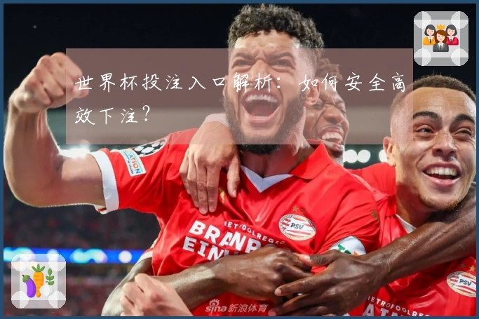 世界杯投注入口解析:如何安全高效下注?