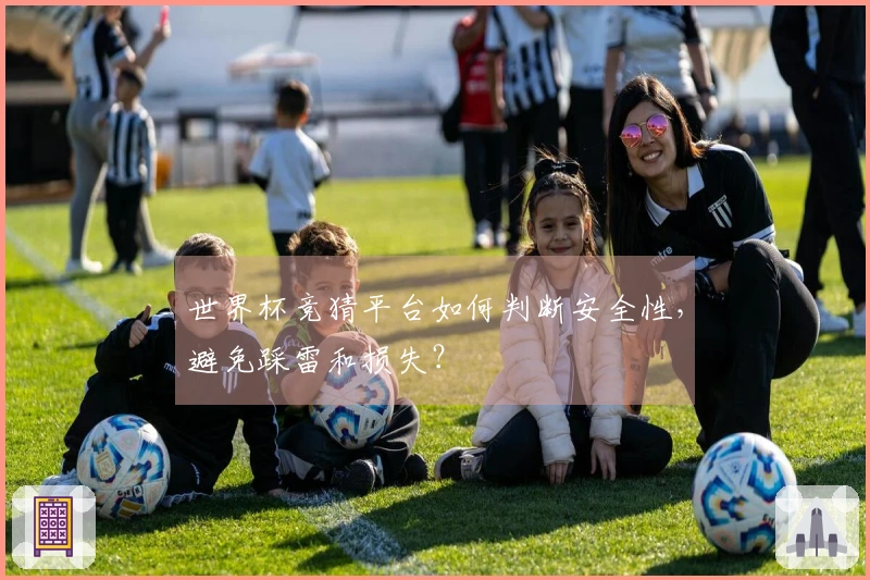 世界杯竞猜平台如何判断安全性，避免踩雷和损失？