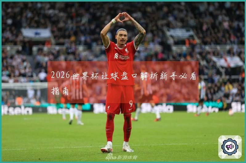 2026世界杯让球盘口解析新手必看指南
