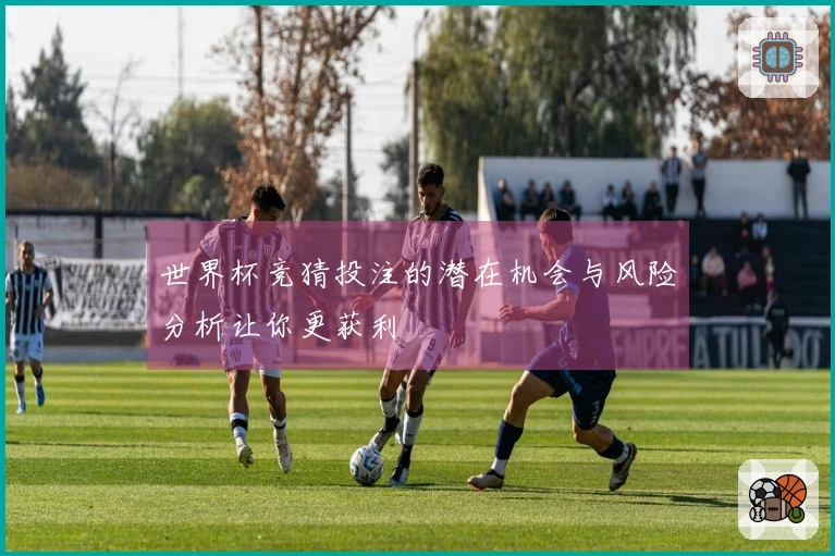 世界杯竞猜投注的潜在机会与风险分析让你更获利