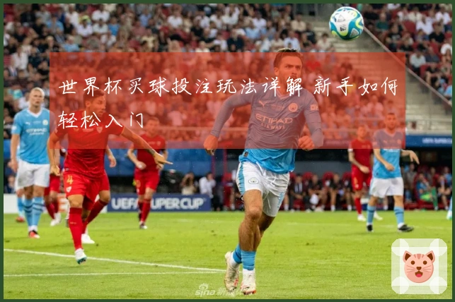 世界杯买球投注玩法详解 新手如何轻松入门