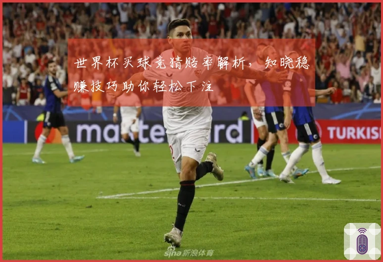世界杯买球竞猜赔率解析，知晓稳赚技巧助你轻松下注