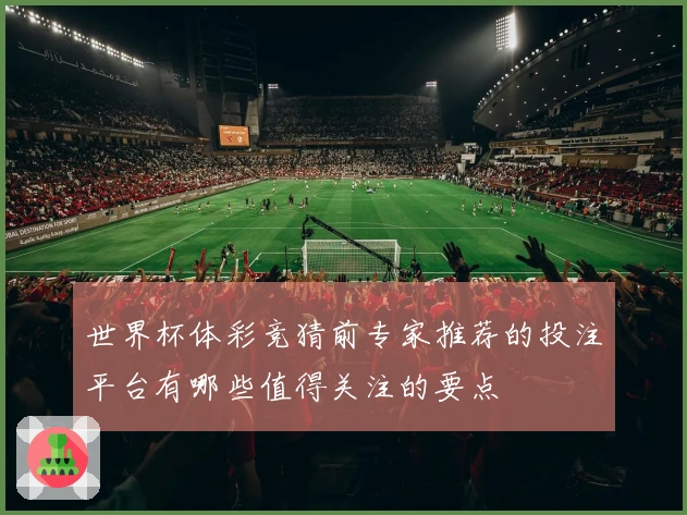 世界杯体彩竞猜前专家推荐的投注平台有哪些值得关注的要点