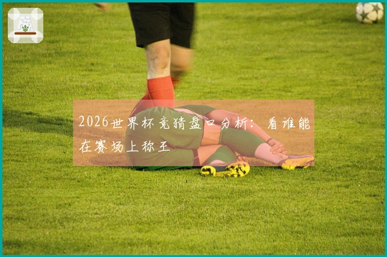 2026世界杯竞猜盘口分析：看谁能在赛场上称王