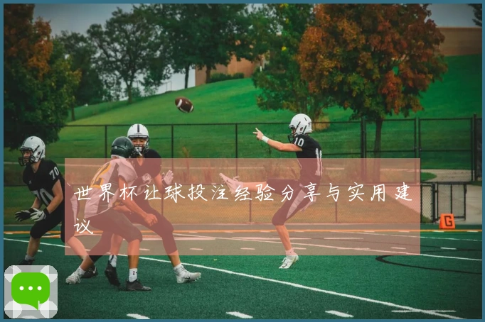 世界杯让球投注经验分享与实用建议