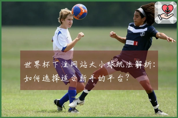 世界杯下注网站大小球玩法解析：如何选择适合新手的平台？