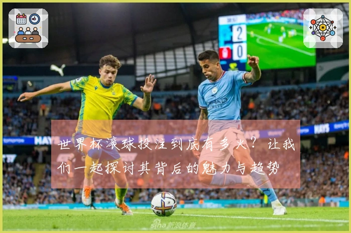 世界杯滚球投注到底有多火？让我们一起探讨其背后的魅力与趋势