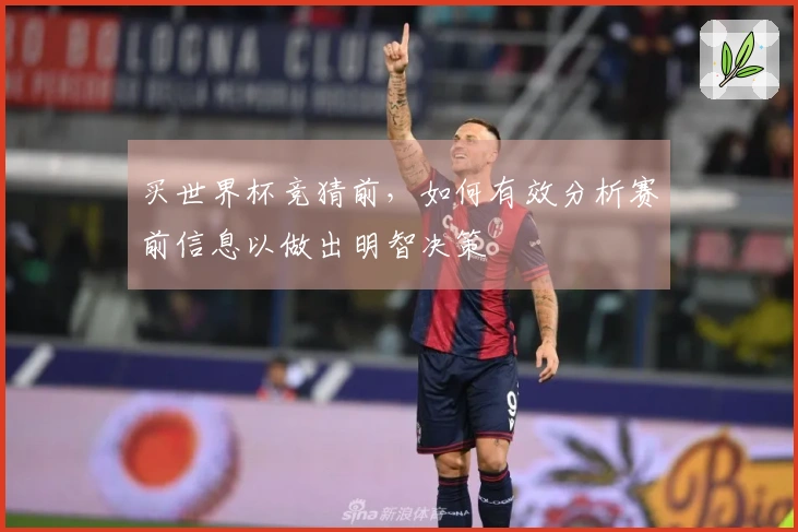 买世界杯竞猜前，如何有效分析赛前信息以做出明智决策