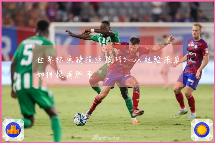 世界杯竞猜投注技巧：从经验来看如何提高胜率