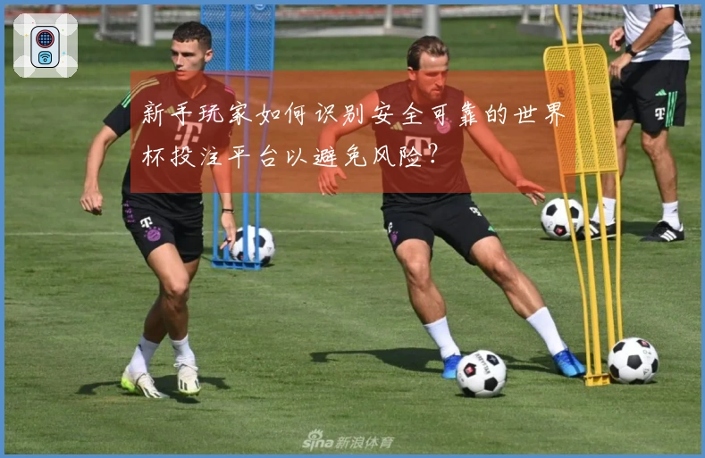 新手玩家如何识别安全可靠的世界杯投注平台以避免风险？