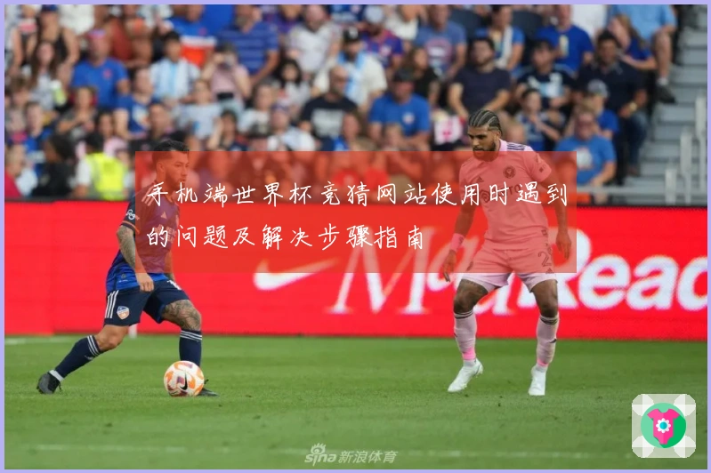 手机端世界杯竞猜网站使用时遇到的问题及解决步骤指南