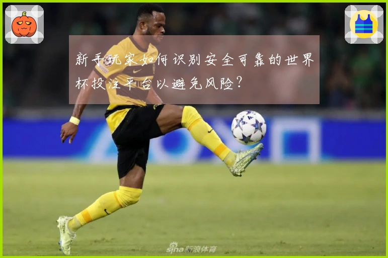 新手玩家如何识别安全可靠的世界杯投注平台以避免风险？