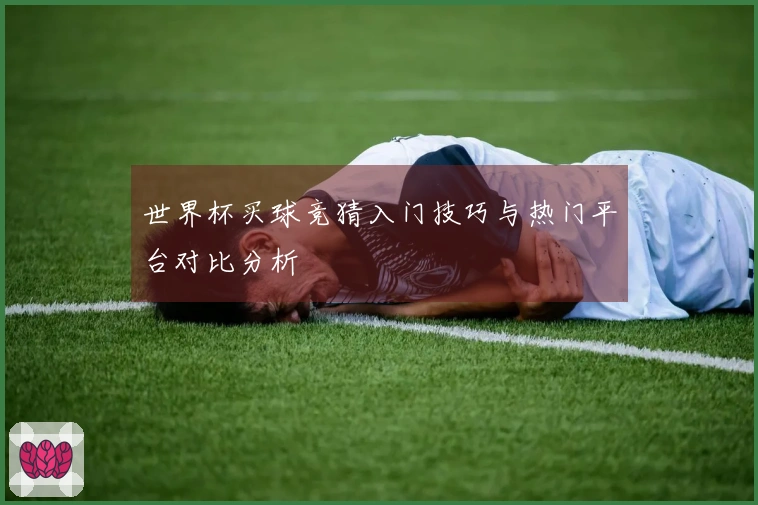 世界杯买球竞猜入门技巧与热门平台对比分析