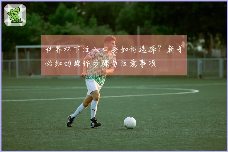 世界杯下注入口要如何选择？新手必知的操作步骤与注意事项