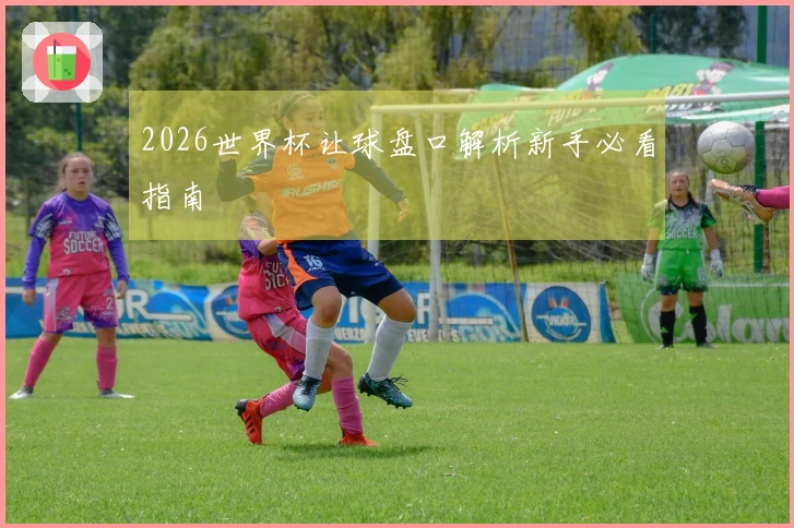 2026世界杯让球盘口解析新手必看指南