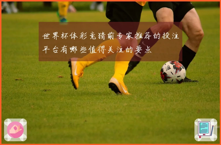 世界杯体彩竞猜前专家推荐的投注平台有哪些值得关注的要点