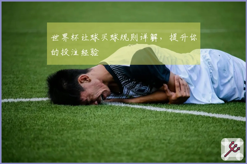 世界杯让球买球规则详解，提升你的投注经验