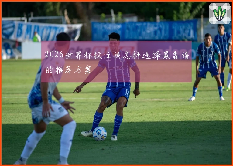 2026世界杯投注该怎样选择最靠谱的推荐方案