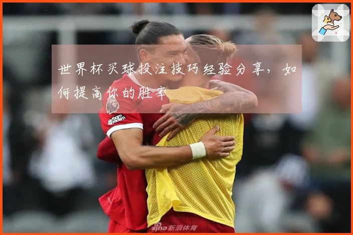 世界杯买球投注技巧经验分享，如何提高你的胜率
