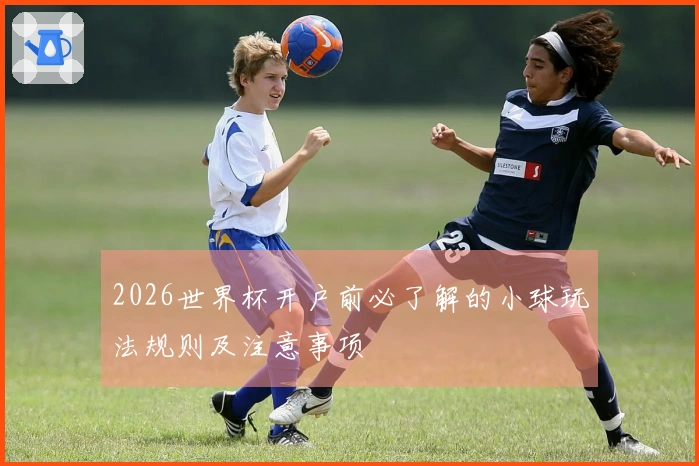2026世界杯开户前必了解的小球玩法规则及注意事项