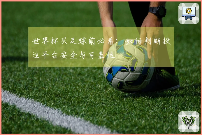 世界杯买足球前必看：如何判断投注平台安全与可靠性
