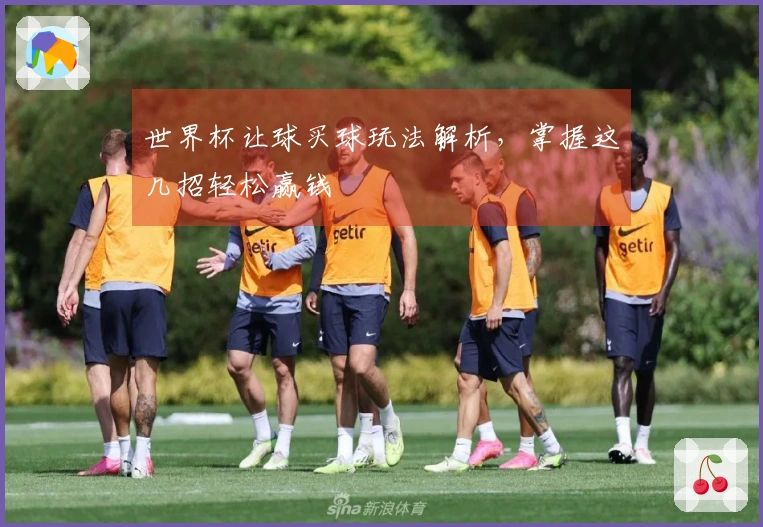 世界杯让球买球玩法解析，掌握这几招轻松赢钱