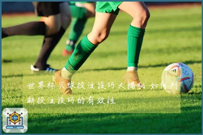 世界杯买球投注技巧大揭秘 如何判断投注技巧的有效性